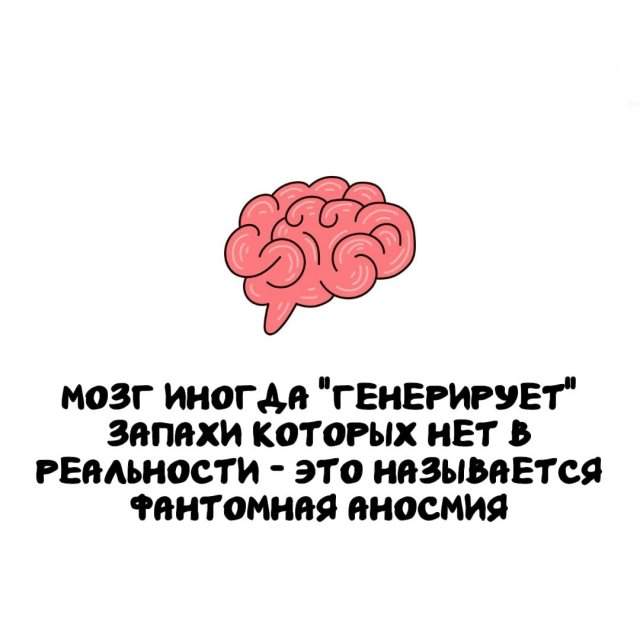 Интересные факты на все случаи жизни Интересные факты на все случаи жизни