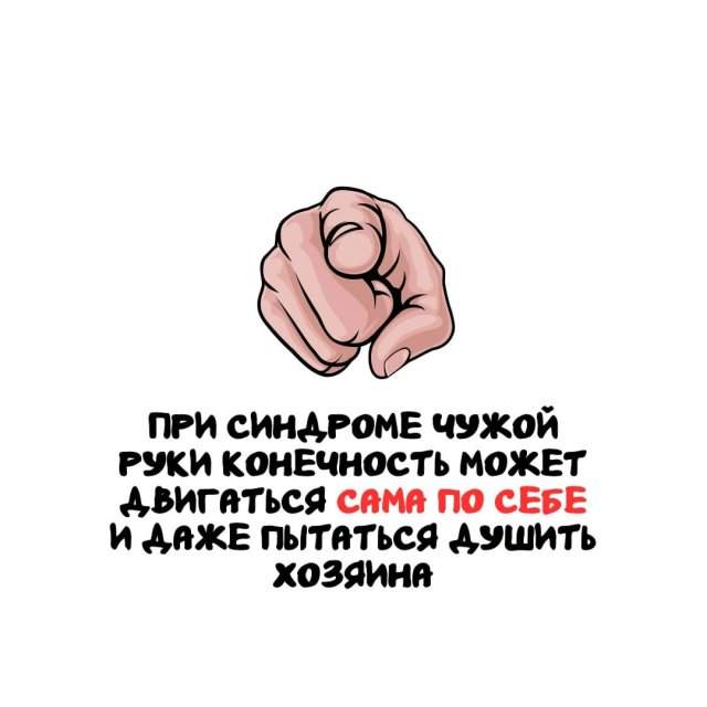 Интересные факты на все случаи жизни Интересные факты на все случаи жизни