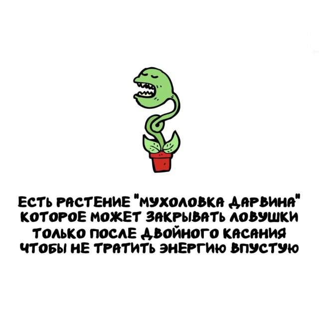 Интересные факты на все случаи жизни Интересные факты на все случаи жизни