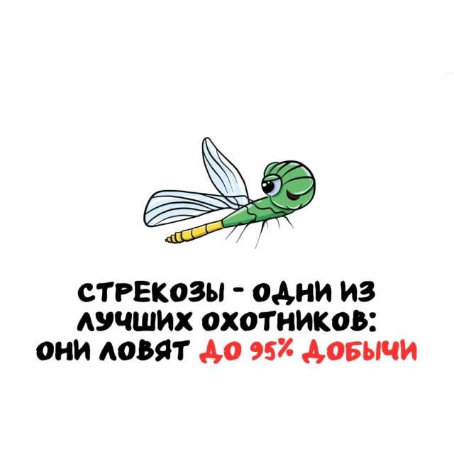 Интересные факты на все случаи жизни Интересные факты на все случаи жизни