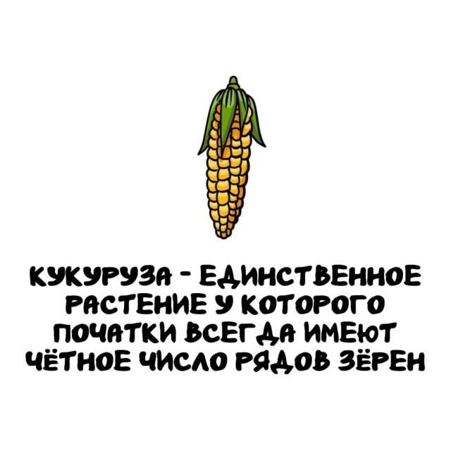 Интересные факты на все случаи жизни Интересные факты на все случаи жизни