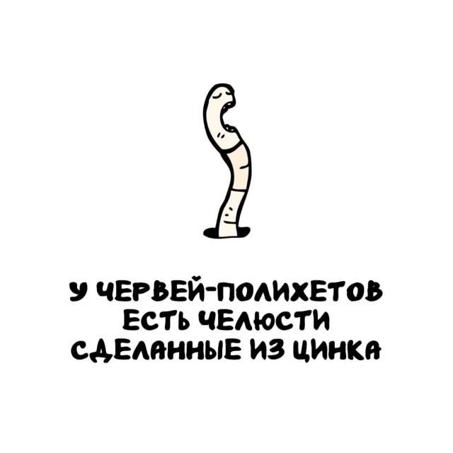 Интересные факты на все случаи жизни Интересные факты на все случаи жизни