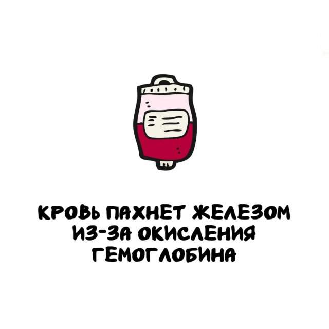 Интересные факты на все случаи жизни Интересные факты на все случаи жизни