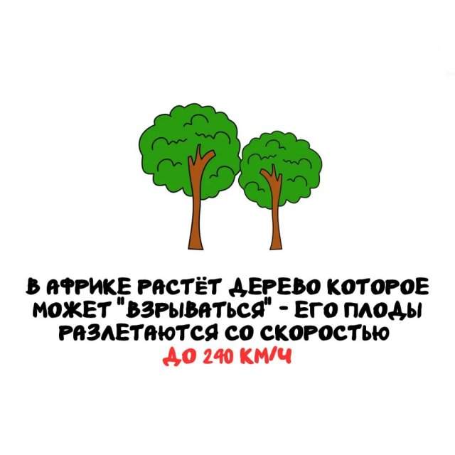 Интересные факты на все случаи жизни Интересные факты на все случаи жизни