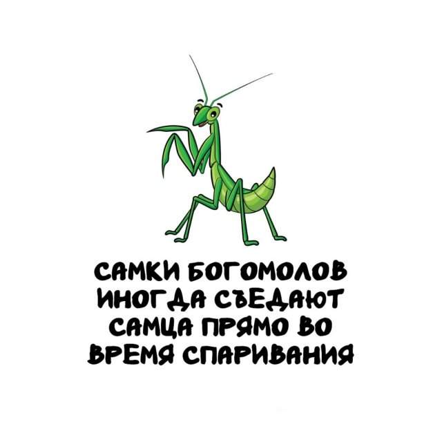 Интересные факты на все случаи жизни Интересные факты на все случаи жизни