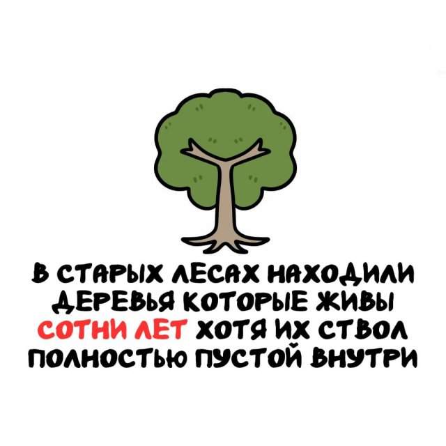 Интересные факты на все случаи жизни Интересные факты на все случаи жизни