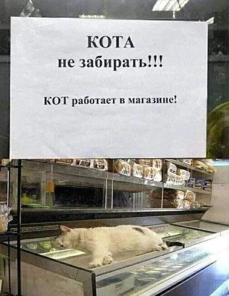 Странные и прикольные объявления с просторов страны Странные и прикольные объявления с просторов страны