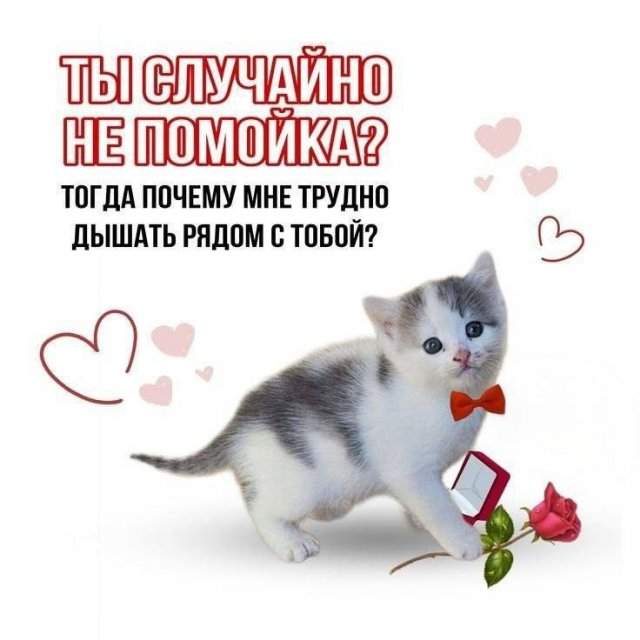 Смешные мемы - 17.10.2025