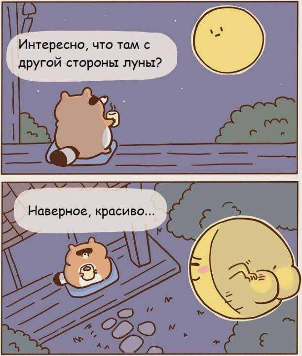 Смешные мемы - 17.10.2025