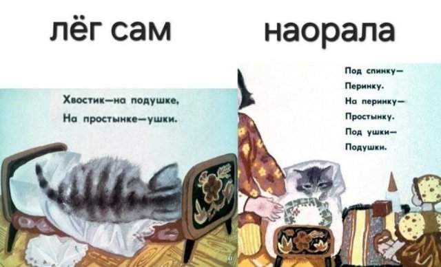 Смешные мемы - 17.10.2025