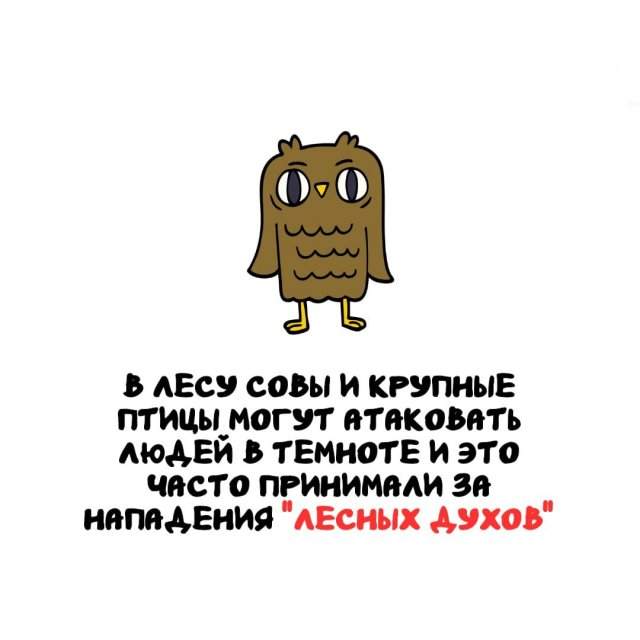 Интересные факты на все случаи жизни