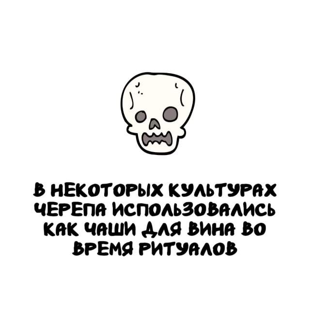 Интересные факты на все случаи жизни Интересные факты на все случаи жизни