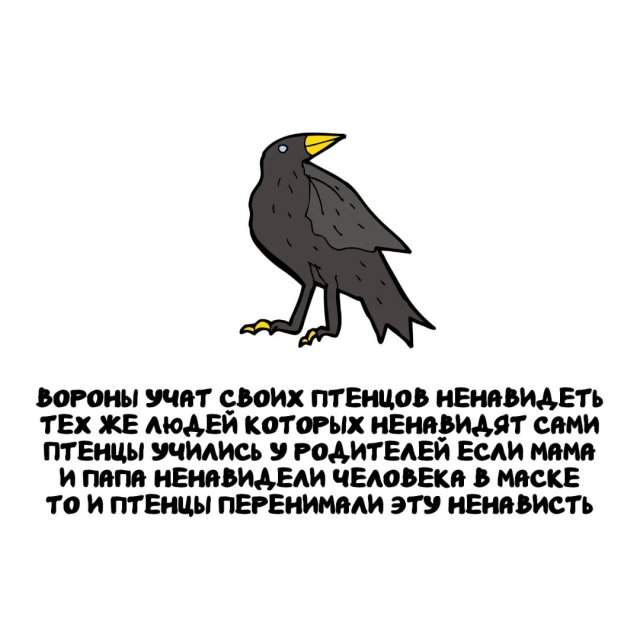 Интересные факты на все случаи жизни Интересные факты на все случаи жизни