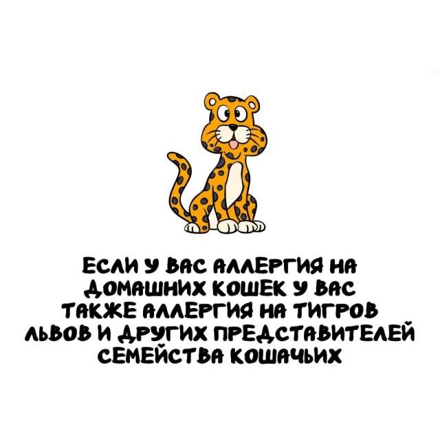 Интересные факты на все случаи жизни Интересные факты на все случаи жизни