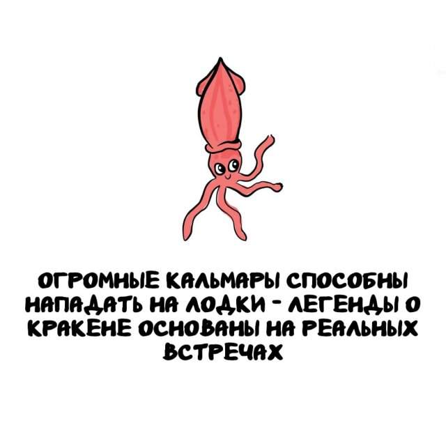 Интересные факты на все случаи жизни Интересные факты на все случаи жизни