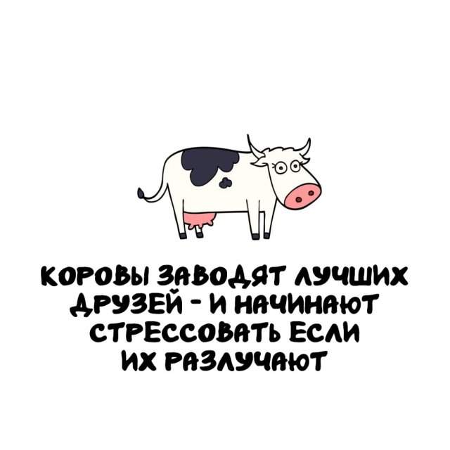 Интересные факты на все случаи жизни Интересные факты на все случаи жизни