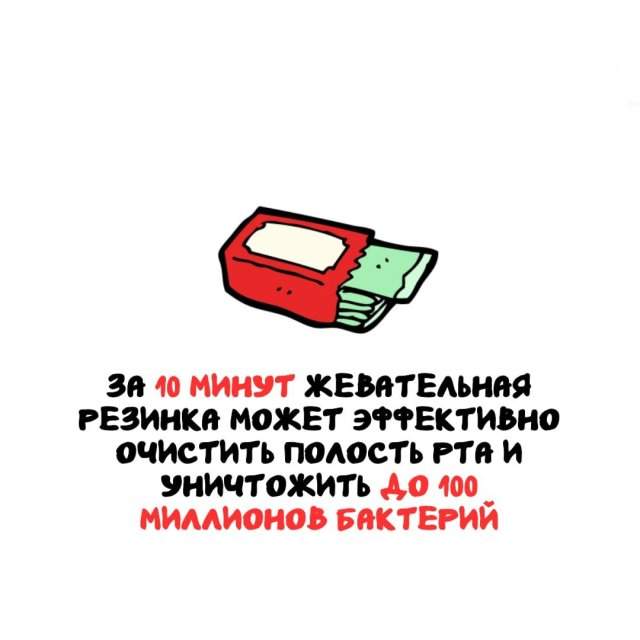 Интересные факты на все случаи жизни Интересные факты на все случаи жизни