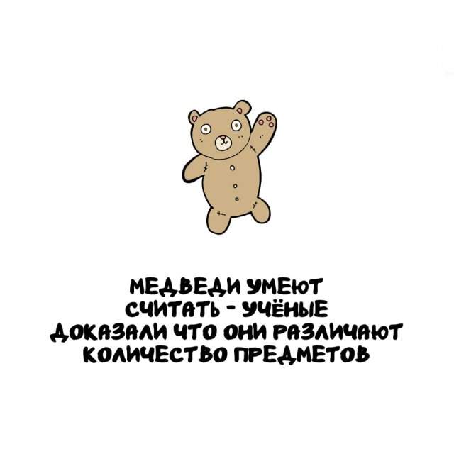 Интересные факты на все случаи жизни Интересные факты на все случаи жизни