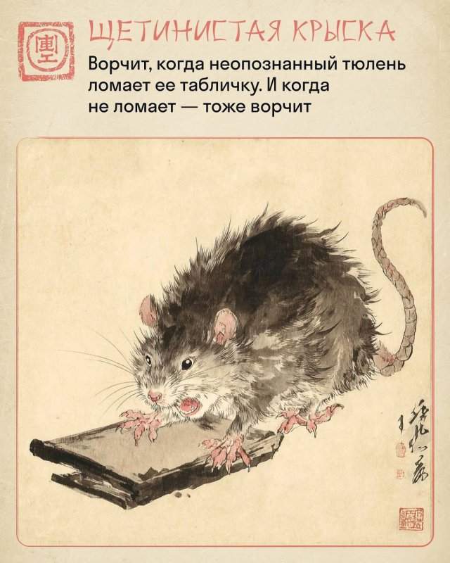 "Крысиный коллектив" в китайском стиле "Крысиный коллектив" в китайском стиле