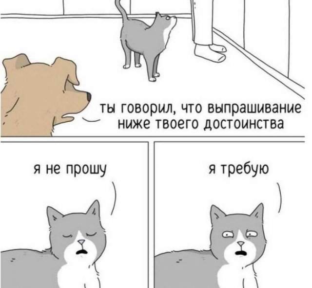 Лучшие шутки и мемы из Сети - 20.10.2025 Лучшие шутки и мемы из Сети - 20.10.2025