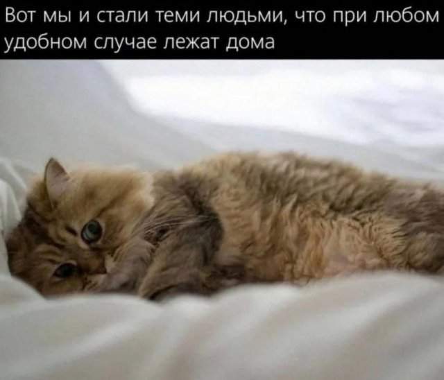 Лучшие шутки и мемы из Сети - 20.10.2025 Лучшие шутки и мемы из Сети - 20.10.2025