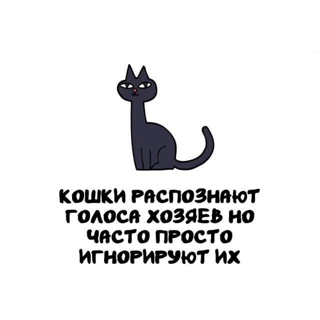 Интересные факты на все случаи жизни Интересные факты на все случаи жизни