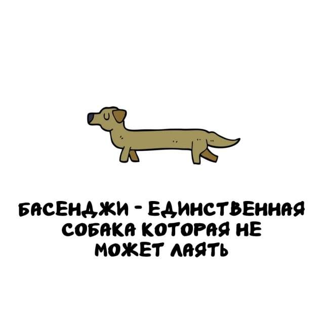 Интересные факты на все случаи жизни Интересные факты на все случаи жизни