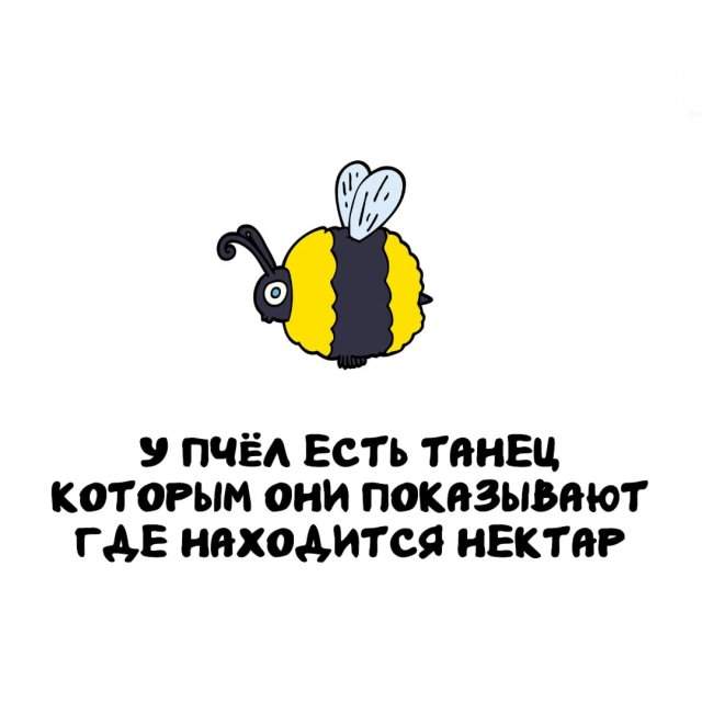 Интересные факты на все случаи жизни Интересные факты на все случаи жизни