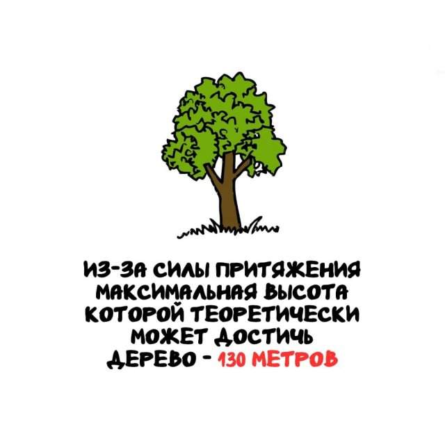 Интересные факты на все случаи жизни Интересные факты на все случаи жизни