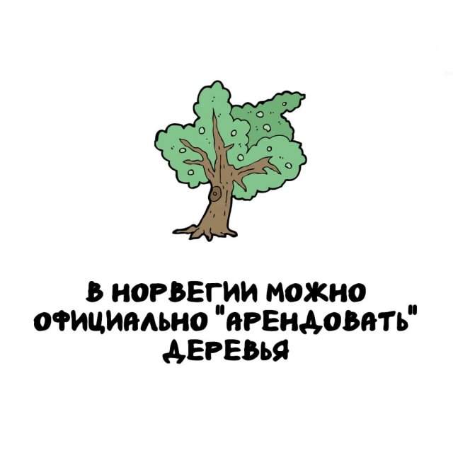Интересные факты на все случаи жизни Интересные факты на все случаи жизни