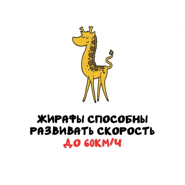 Интересные факты на все случаи жизни Интересные факты на все случаи жизни
