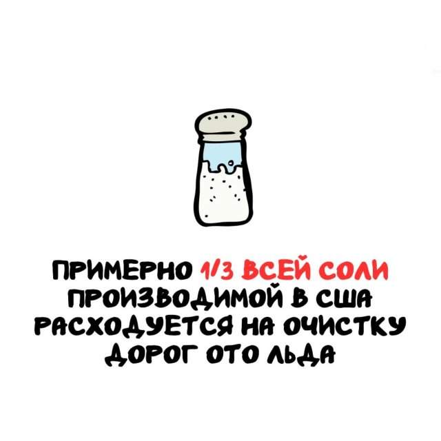 Интересные факты на все случаи жизни Интересные факты на все случаи жизни