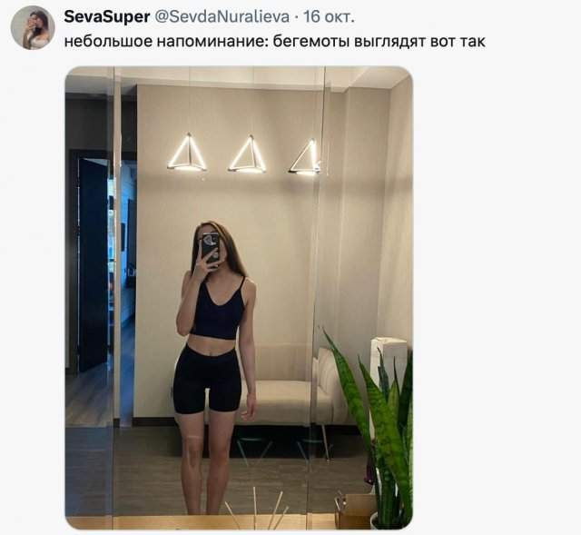 Спор дня в соцсетях: являются ли "бегемотами" женщины, которые весят больше 50 кг Спор дня в соцсетях: являются ли "бегемотами" женщины, которые весят больше 50 кг