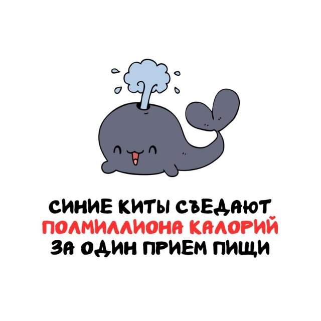 Интересные факты на все случаи жизни
