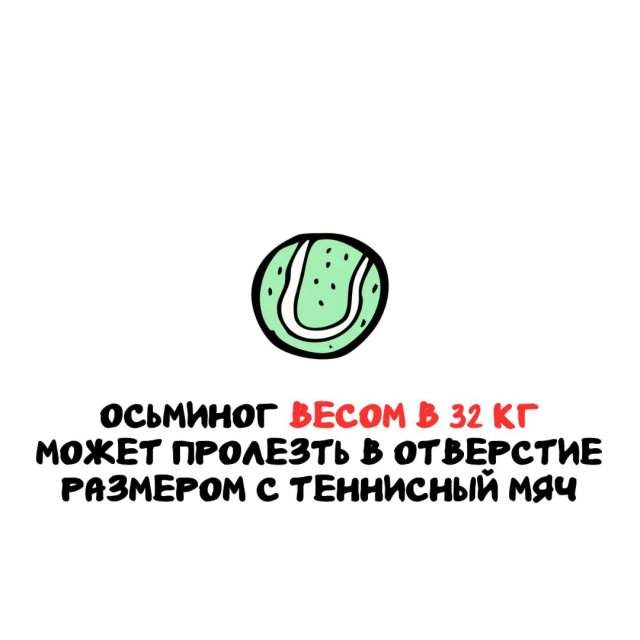 Интересные факты на все случаи жизни