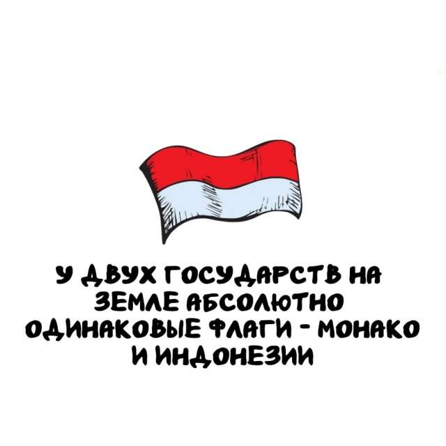 Интересные факты на все случаи жизни