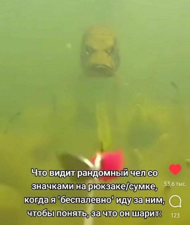 Лучшие шутки и мемы из Сети - 22.10.2025 Лучшие шутки и мемы из Сети - 22.10.2025