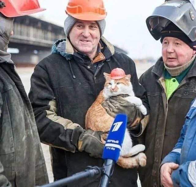 Смешные мемы - 23.10.2025 Смешные мемы - 23.10.2025