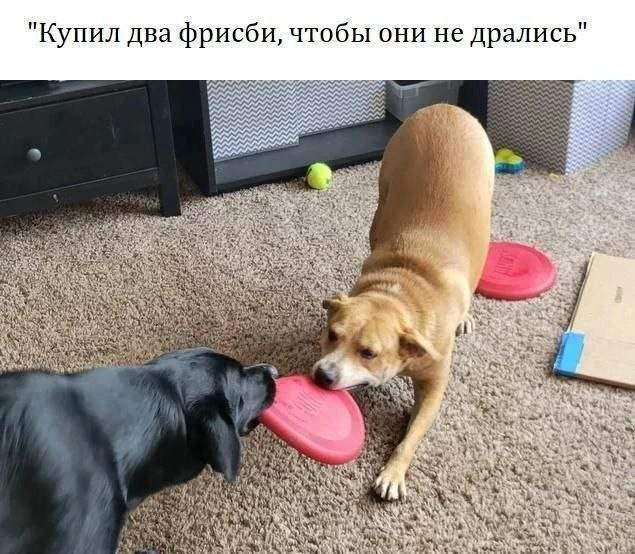 Смешные мемы - 23.10.2025 Смешные мемы - 23.10.2025