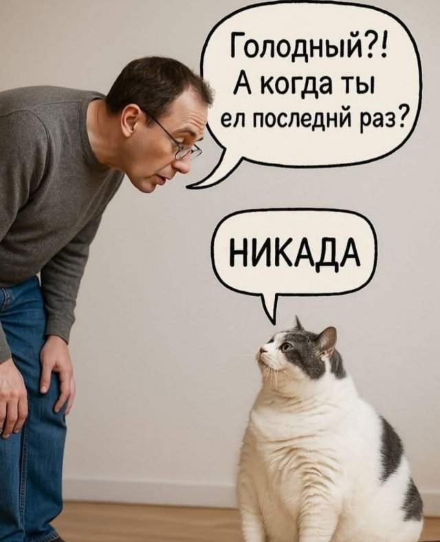 Лучшие шутки и мемы из Сети - 23.10.2025 Лучшие шутки и мемы из Сети - 23.10.2025