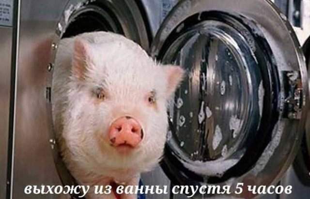 Лучшие шутки и мемы из Сети - 23.10.2025 Лучшие шутки и мемы из Сети - 23.10.2025