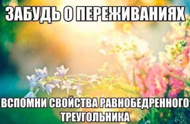 Лучшие шутки и мемы из Сети - 23.10.2025 Лучшие шутки и мемы из Сети - 23.10.2025