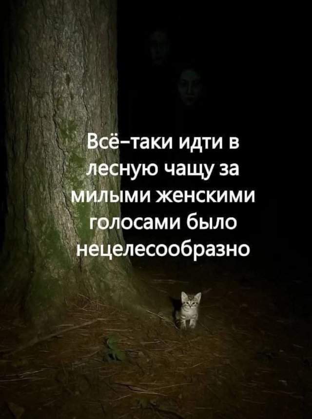 Лучшие шутки и мемы из Сети - 23.10.2025 Лучшие шутки и мемы из Сети - 23.10.2025