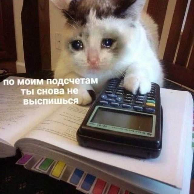 Лучшие шутки и мемы из Сети - 23.10.2025 Лучшие шутки и мемы из Сети - 23.10.2025