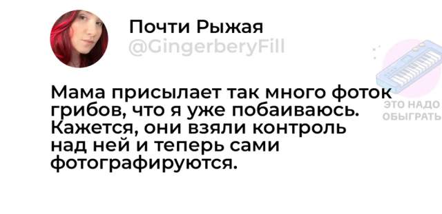 Немного грибного юмора Немного грибного юмора