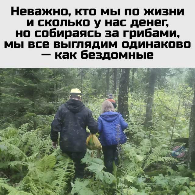 Немного грибного юмора Немного грибного юмора