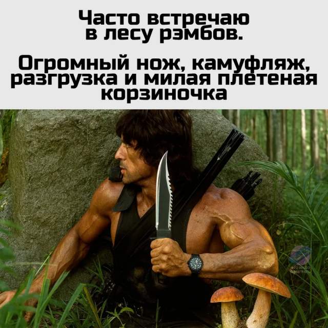 Немного грибного юмора Немного грибного юмора