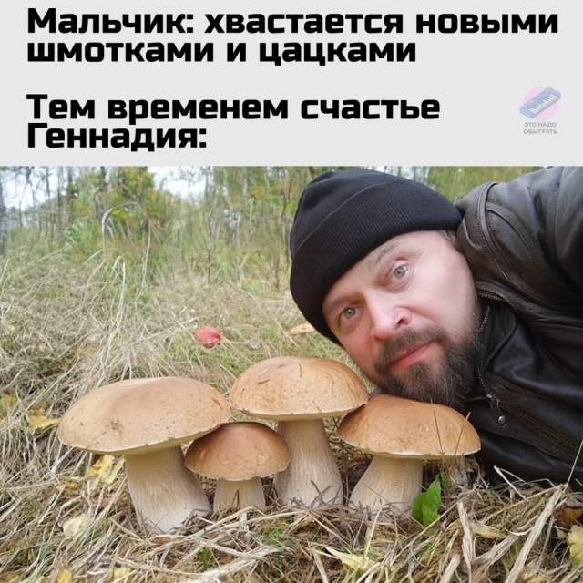 Немного грибного юмора Немного грибного юмора