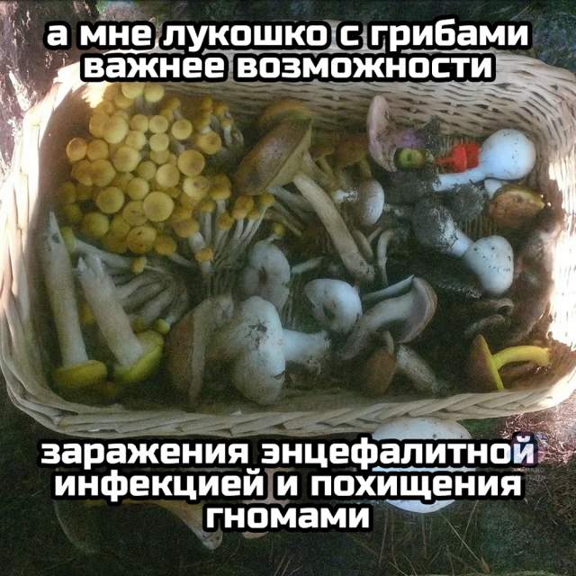 Немного грибного юмора Немного грибного юмора
