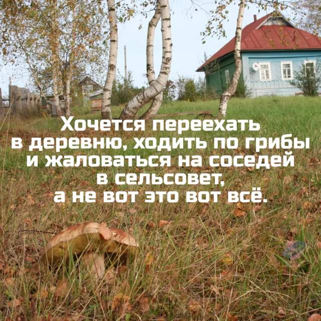 Немного грибного юмора Немного грибного юмора